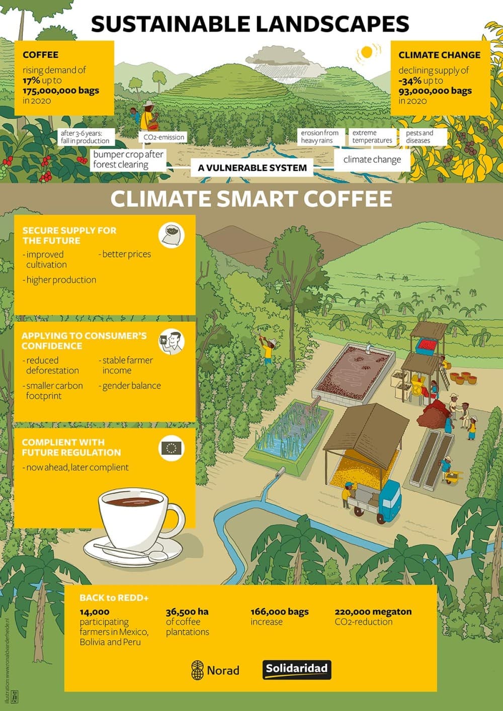 infographics sustainability landscapes coffee roaster crops Mexico Bolivia Peru diseases hand drawn conference Solidaridad climate smart agriculture water drought communities story telling rainforest Solidaridad NGO ontwikkelingssamenwerking