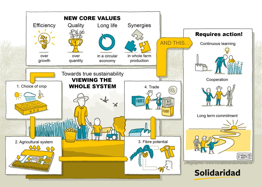 infographic duurzame kleding. Studio Ronald van der Heide maakt infographics voor wetenschappelijke academische artikelen duurzaamheid energie fair trade derde wereld ontwikkelingswerk