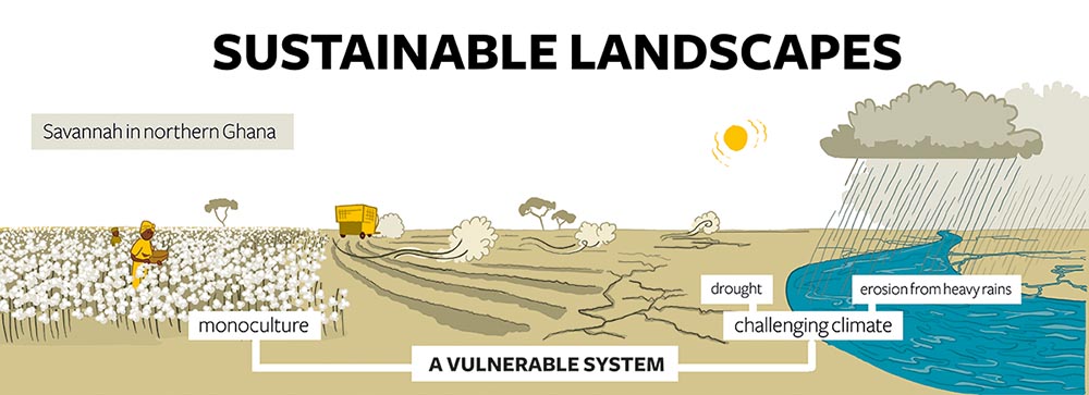 infographics sustainability landscapes cotton textiles crops Africa Ghana hand drawn conference 